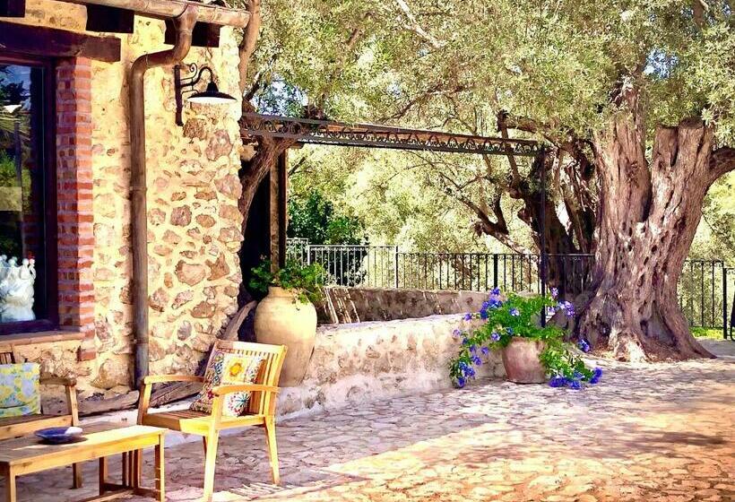 Номер Стандарт, Agriturismo Roba Degli Ulivi