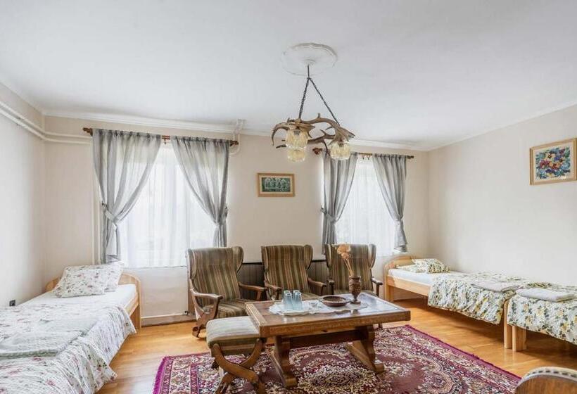 四人标准间, Gemenc Vendégház