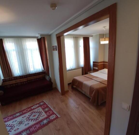 1ベッドルームのデラックスアパートメント, Aycan Sultan Apart