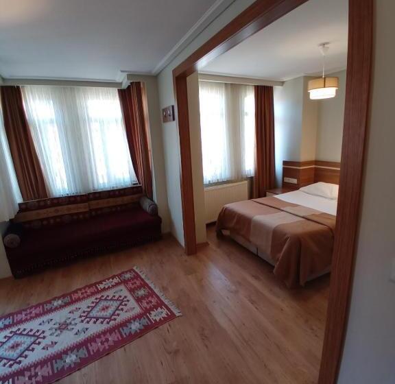 1ベッドルームのデラックスアパートメント, Aycan Sultan Apart