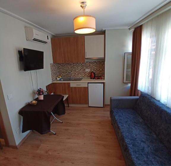 1ベッドルームのデラックスアパートメント, Aycan Sultan Apart