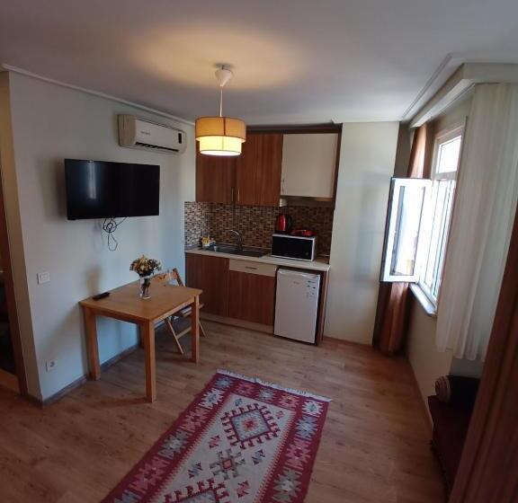 1ベッドルームのデラックスアパートメント, Aycan Sultan Apart