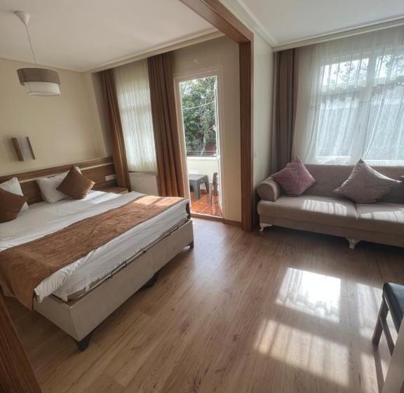 海の見えるスタンダードスタジオ, Aycan Sultan Apart