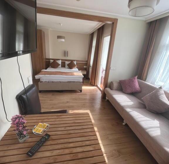 海の見えるスタンダードスタジオ, Aycan Sultan Apart