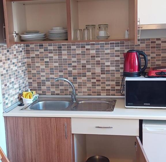 海の見える1ベッドルームアパートメント, Aycan Sultan Apart