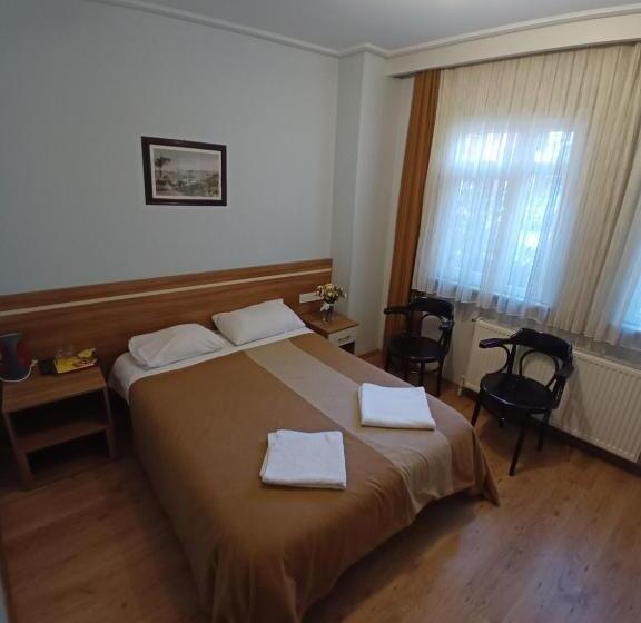 デラックスルーム, Aycan Sultan Apart