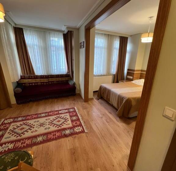 2ベッドルームアパートメント, Aycan Sultan Apart