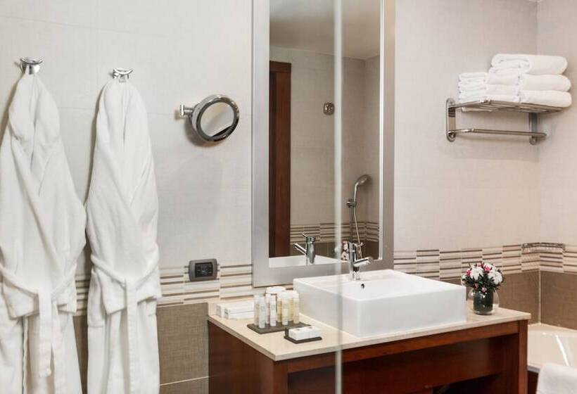 スタンダードルーム, Doubletree By Hilton  Novosibirsk