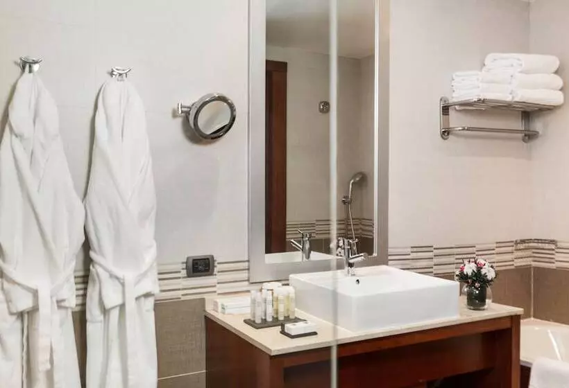 اتاق استاندارد, Doubletree By Hilton  Novosibirsk