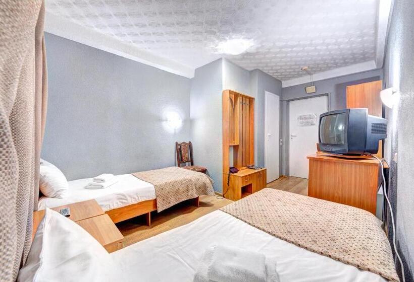 اتاق استاندارد, Holosiyvsky