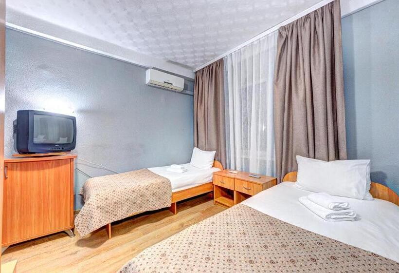 اتاق استاندارد, Holosiyvsky