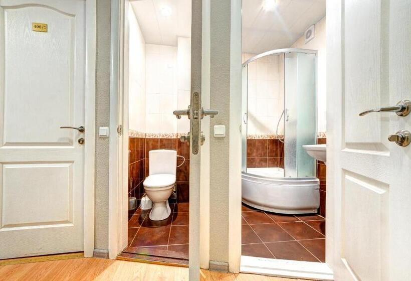 اتاق استاندارد با سرویس بهداشتی مشترک, Holosiyvsky