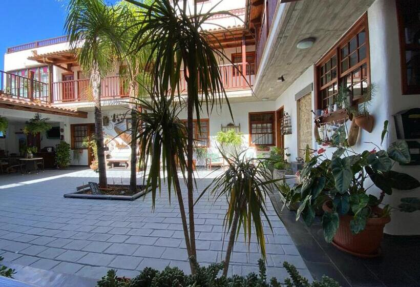 一楼标准间, Gara