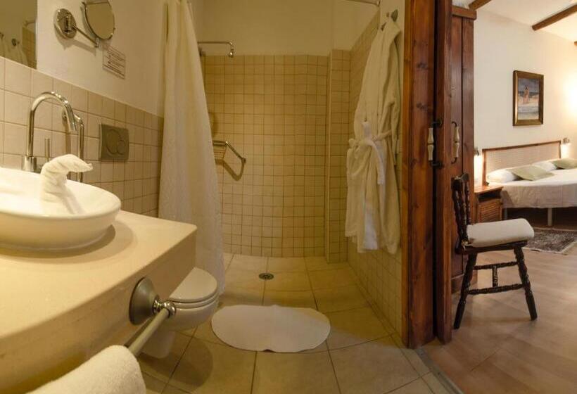 适合残疾人使用的标准间, Gara