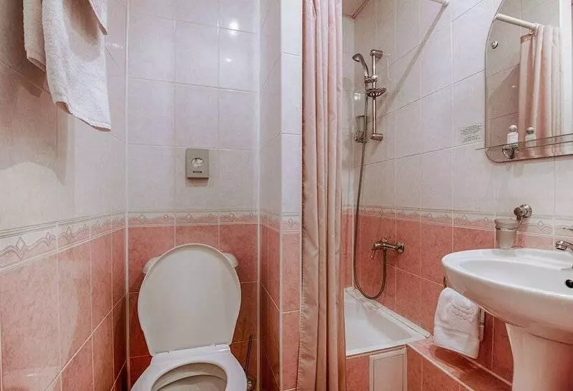 Standard Yhden Hengen Huone, Tsentralny By Usta Hotels