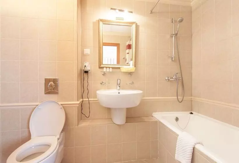 Premium-huone, Tsentralny By Usta Hotels