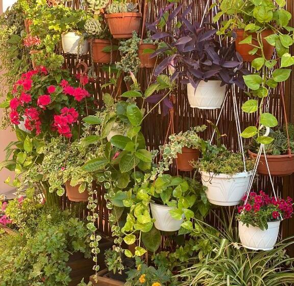 إستديو عائلى, B&b Rita, Nel Cuore Del Salento