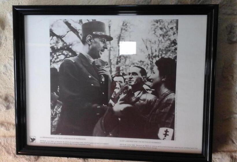 اتاق استاندارد, Camélia