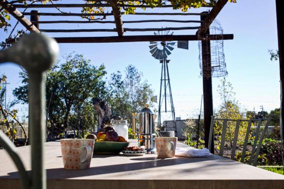 شاليه غرفة نوم واحدة, Olive Grove House