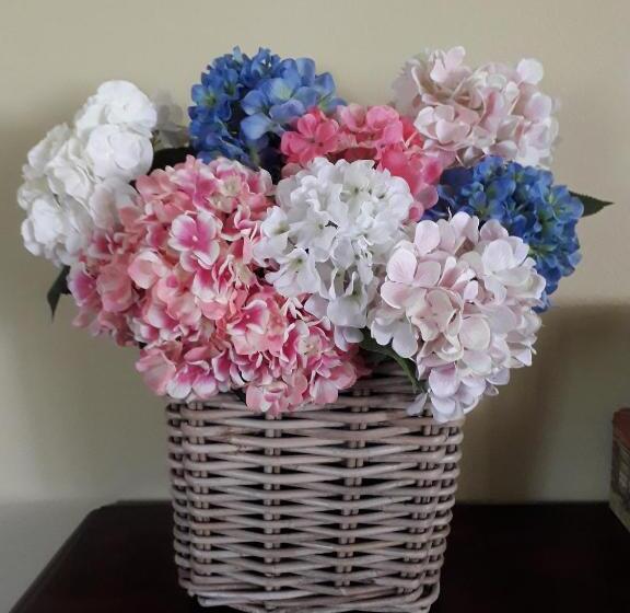 غرفة قياسية, Le Ortensie Rooms