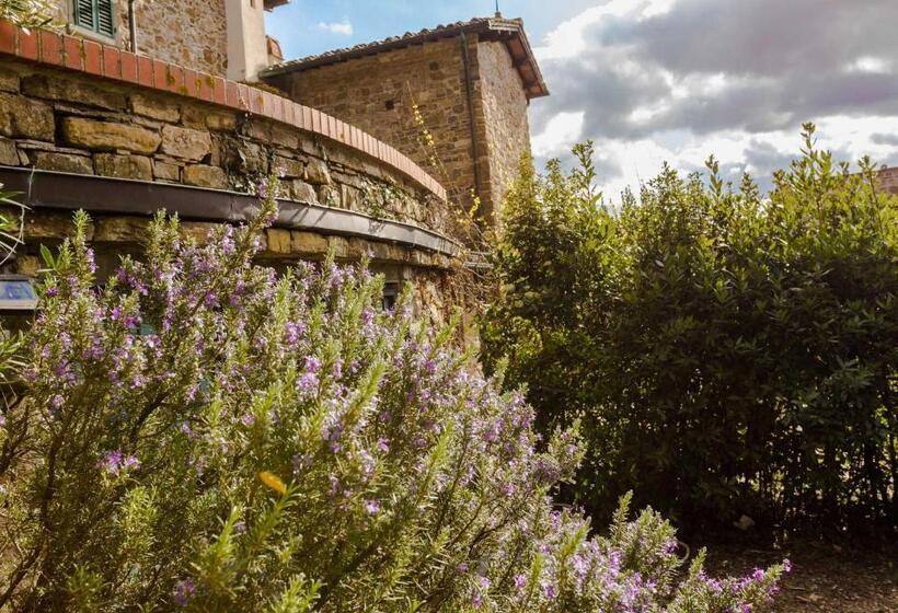 스탠다드 스튜디오 (테라스구비), Fattoria Poggio Di Fiesole