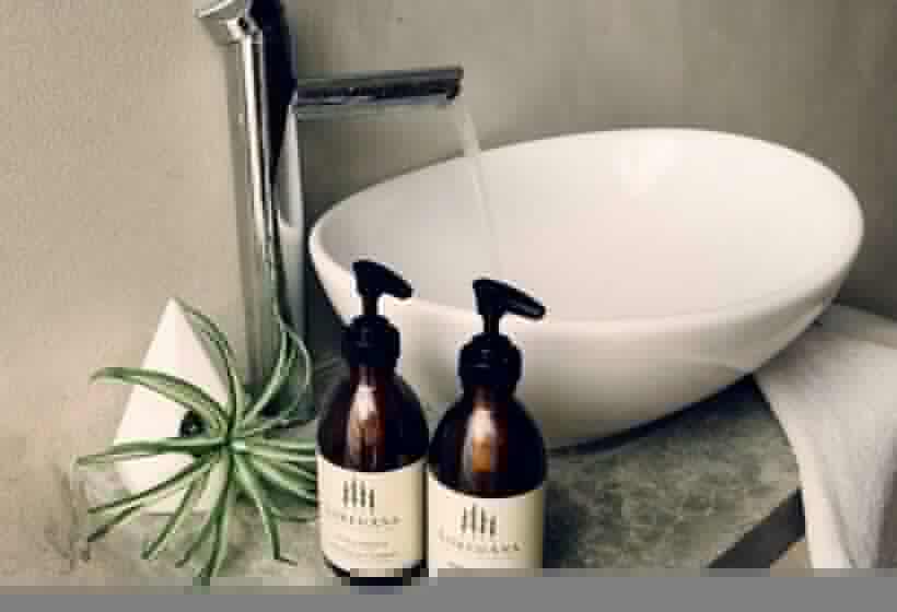 Cameră Deluxe, Frequency