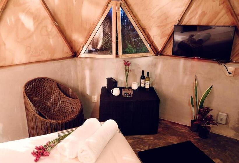 Cameră Deluxe, Frequency