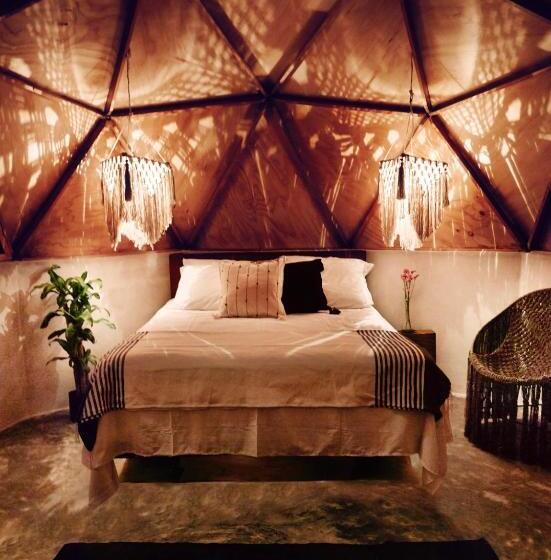 Cameră Deluxe, Frequency