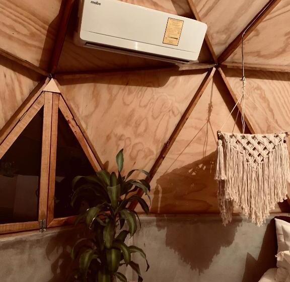 Cameră Deluxe, Frequency