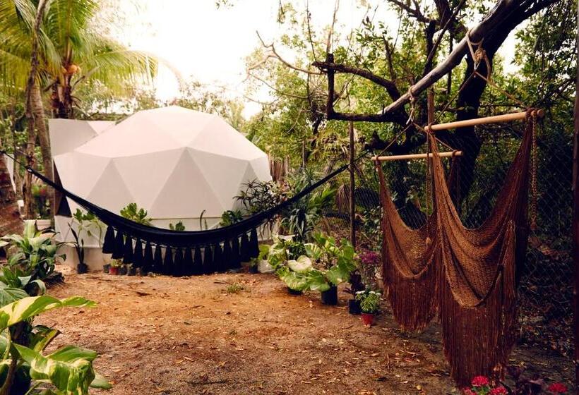 Cameră Standard, Frequency