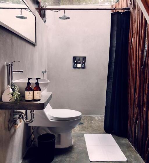 Cameră Standard, Frequency