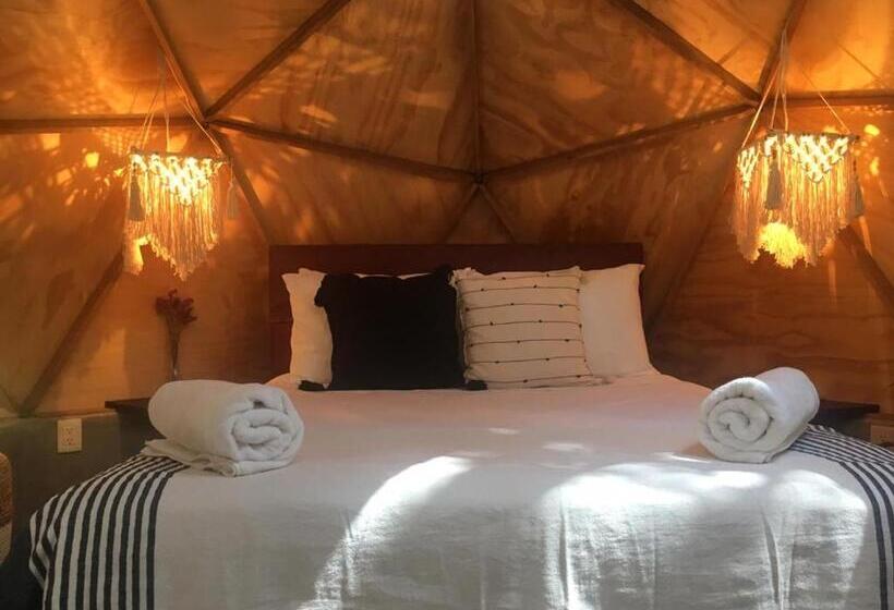 Cameră Standard, Frequency