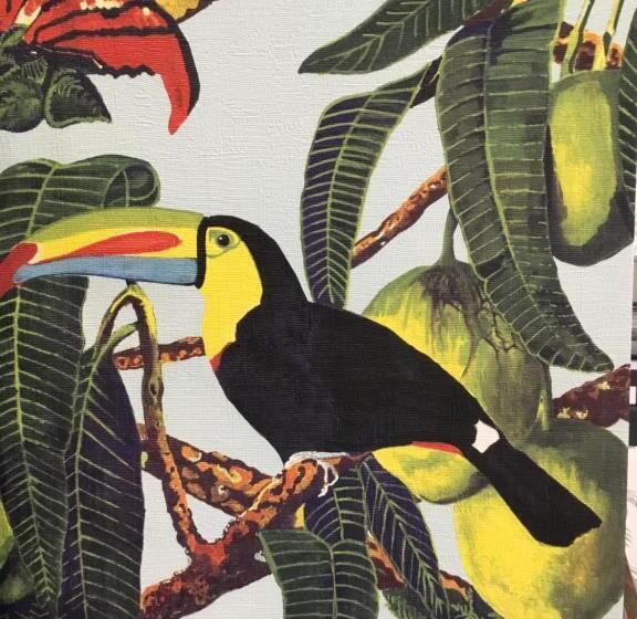 استودیوی استاندارد, 13 Suites