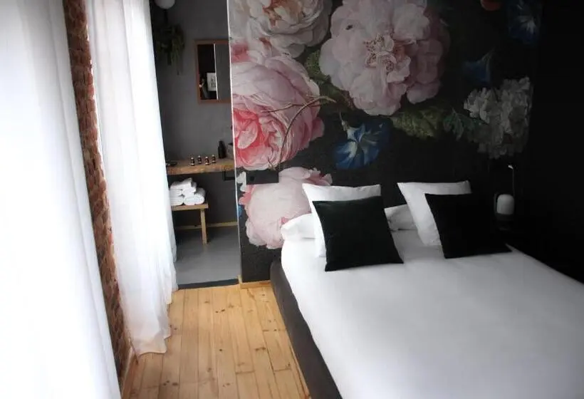 Habitació Superior, 13 Suites