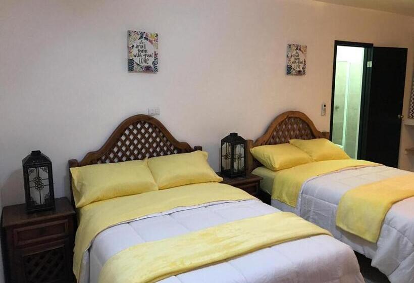 اتاق استاندارد, Apartamento&habitación Galeana