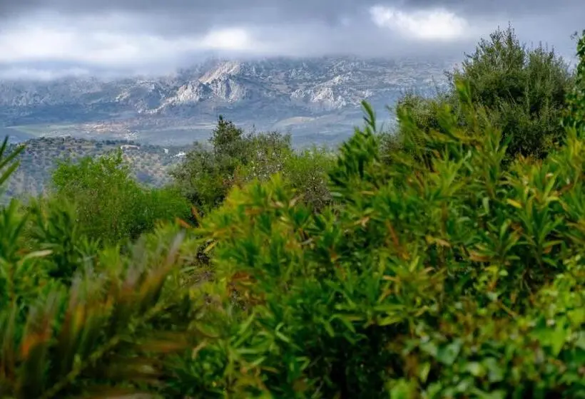 デラックスルーム, Finca Gordo