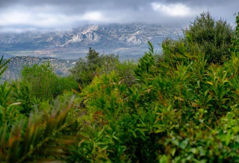 חדר סטנדרט, Finca Gordo