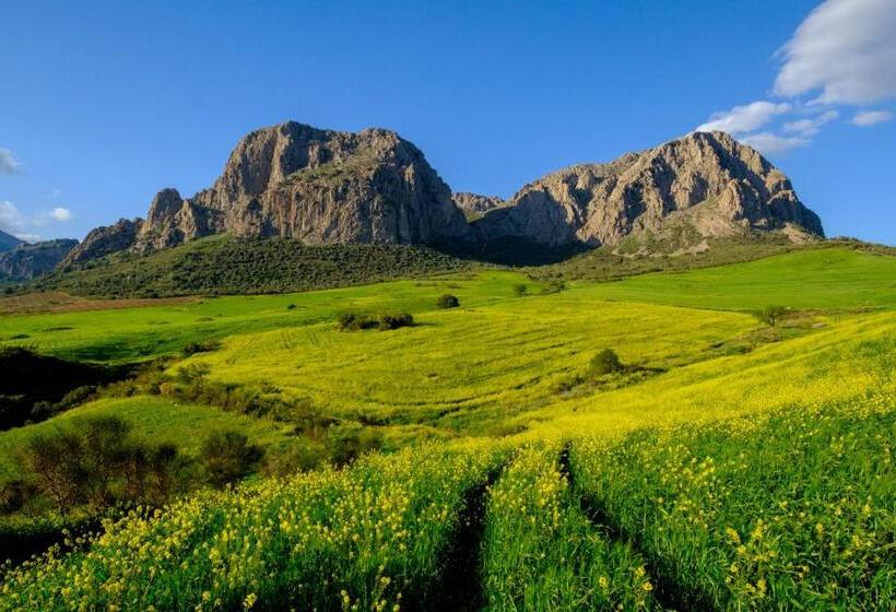 חדר דלוקס, Finca Gordo