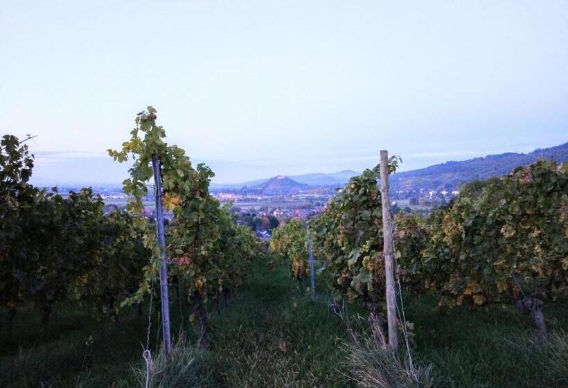 침실 1개 아파트, Familiehuis Dolve 2