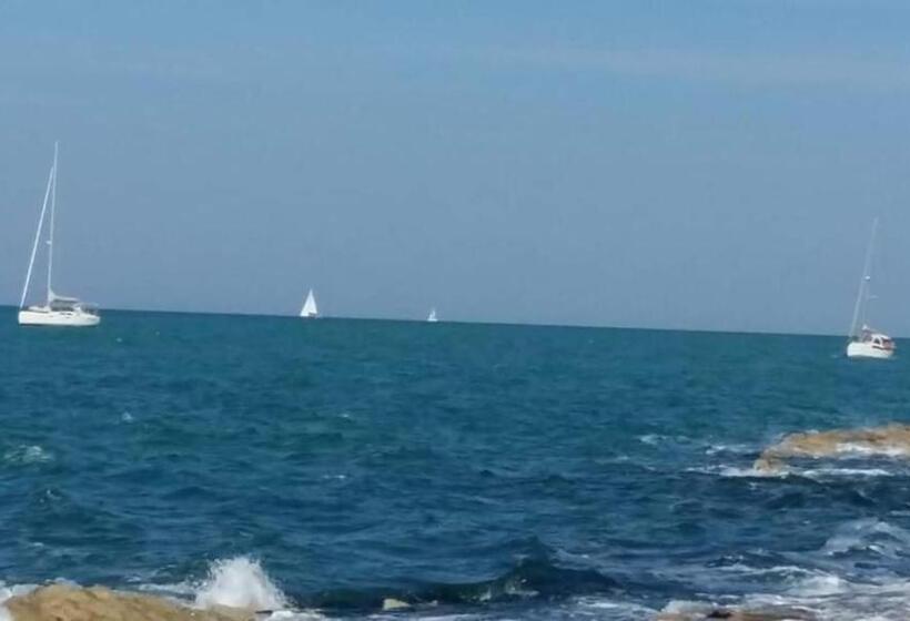 اتاق استاندارد, Casa Viorica