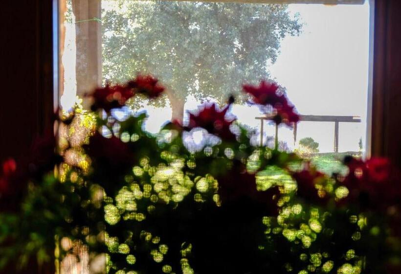 اتاق لوکس, Agriturismo Poggio Monte Saturnia