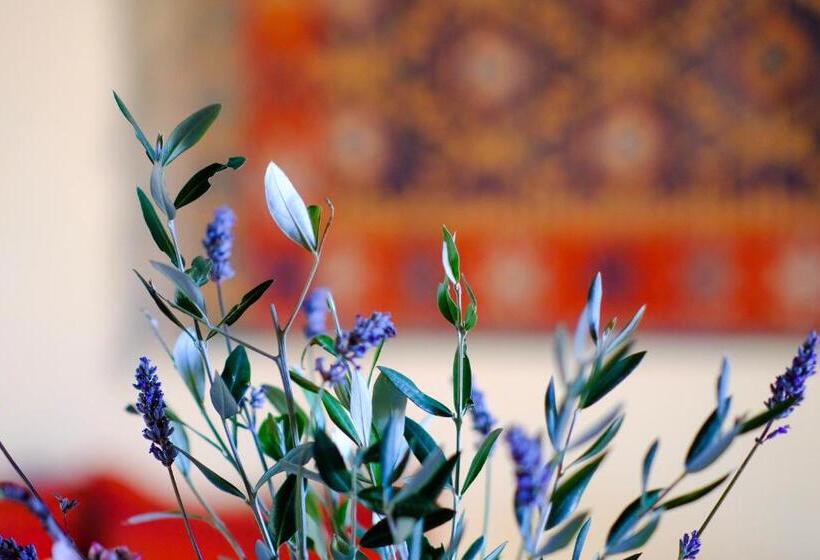 Апартаменты Deluxe 1 Спальня, Agriturismo Poggio Monte Saturnia