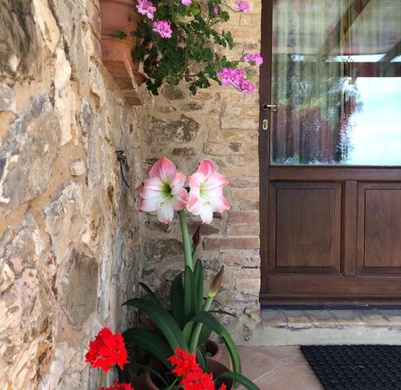 اتاق لوکس, Agriturismo Poggio Monte Saturnia