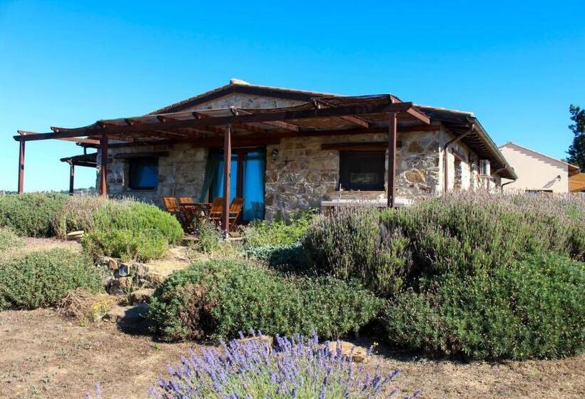 خانه 3 خوابه, Agriturismo Poggio Monte Saturnia