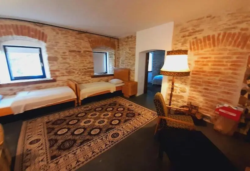 キングサイドベッドのスタンダードワンルーム, Statek Two Brooms, Apartment