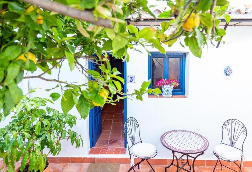 غرفة قياسية مطلّة علي الحديقة, Limonero Bnb