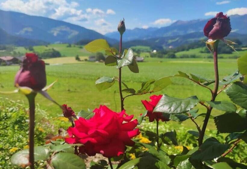 דירת חדר עם טרסה, Residence Stefansdorf