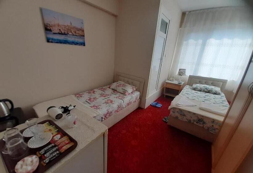 اتاق اکونومی, Saydam Otel