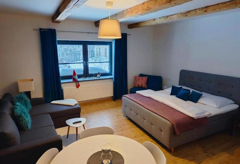 침실 1개 아파트, Apartmány 91 Boží Dar