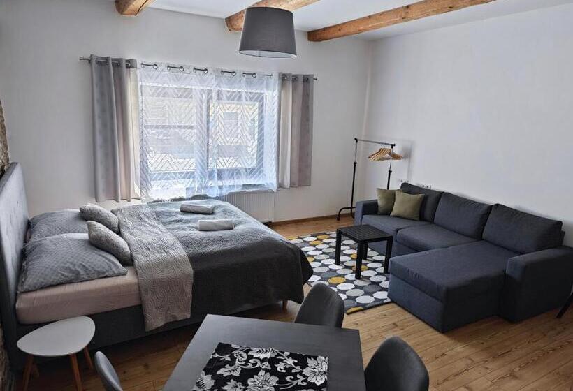 דירת חדר, Apartmány 91 Boží Dar